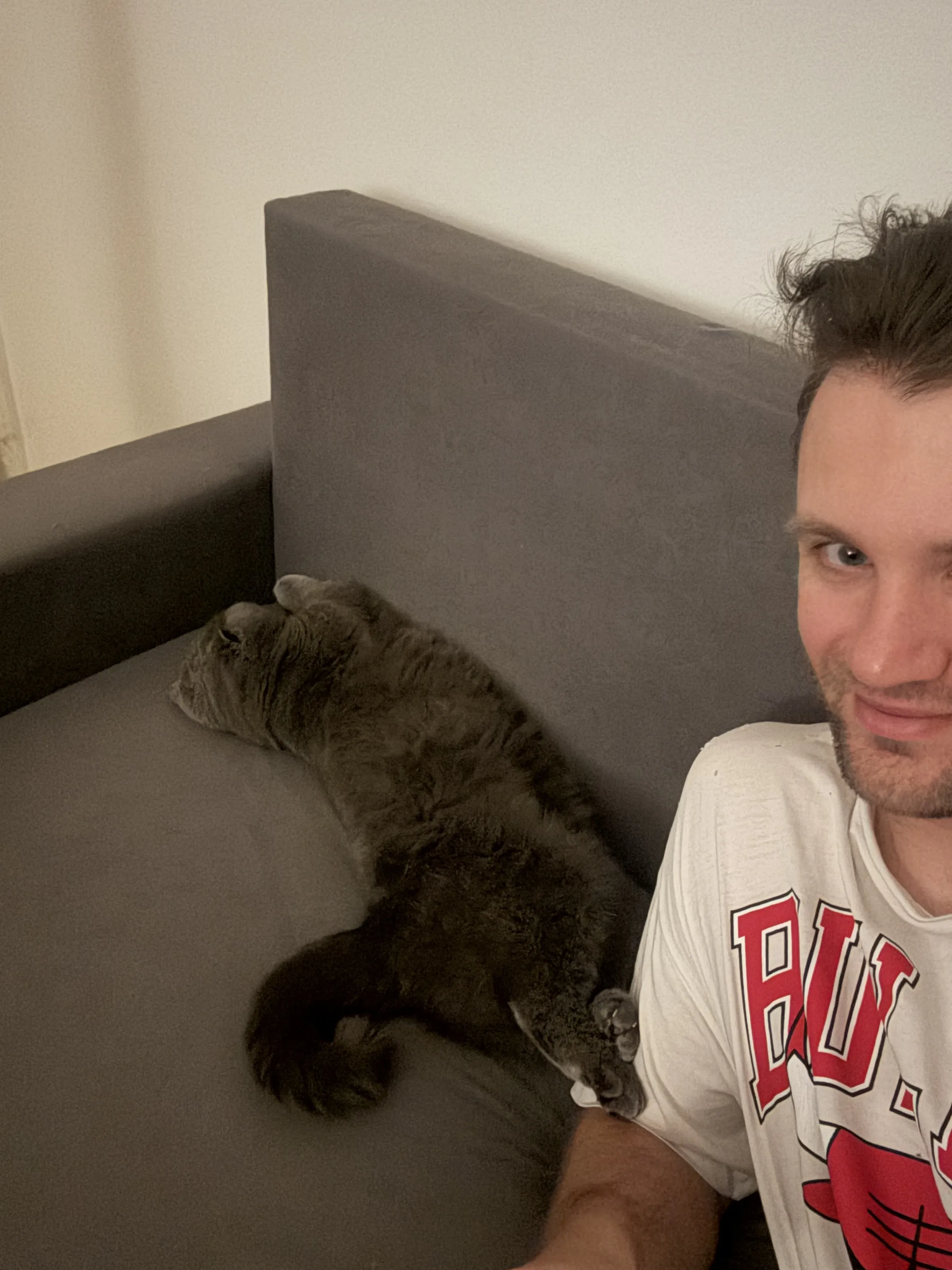 My cats 2